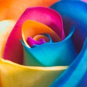 Meet your Posher, Stephany